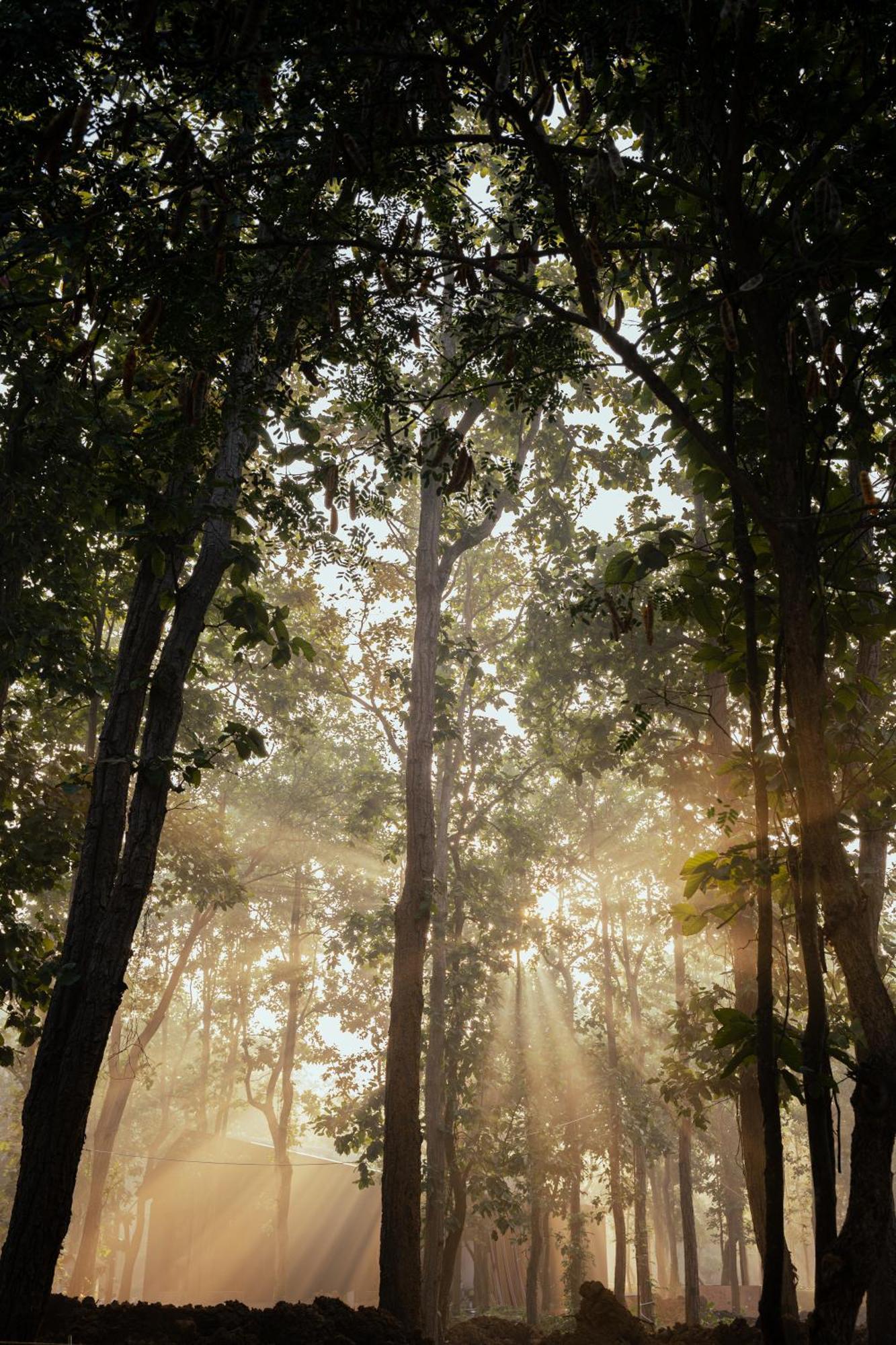 Hotel Sonar Bangla Joypur Forest Extérieur photo